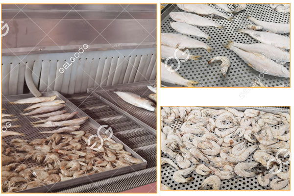 seafood-iqf-machine-details