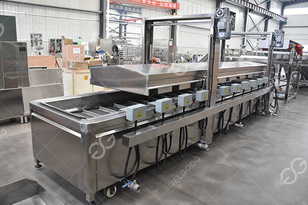 fruit-sterilization-blanching-equipment-uk1