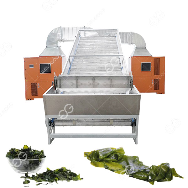 Customized na Seaweed Conveyor Mesh Belt Dryer Machine