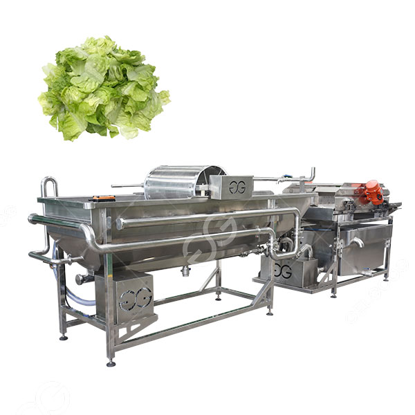 Vegetable Cabbage Washing Machine Para sa Pagproseso ng Salad