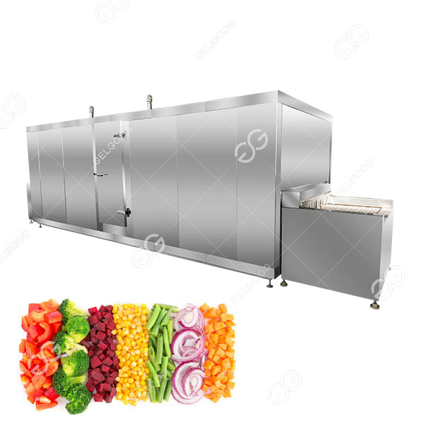 tunnel freezer .jpg