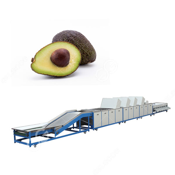 Avocado Sorting Grading Machine Para sa Avocado Processing Plant