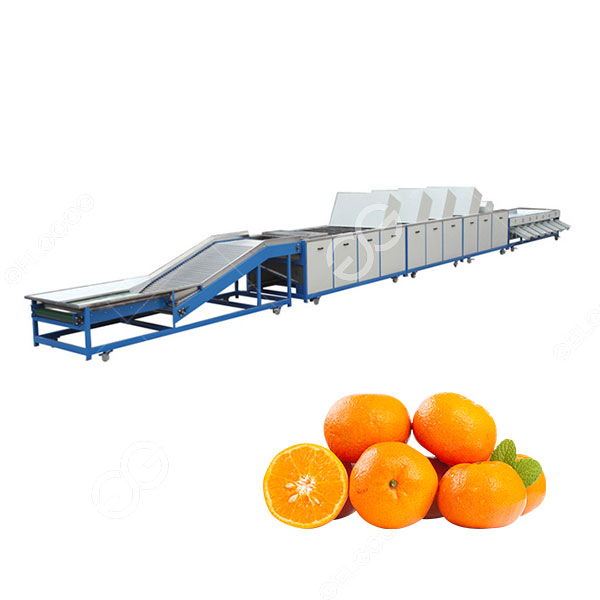 Presyo ng Citrus Sorting Grading Machine Equipment