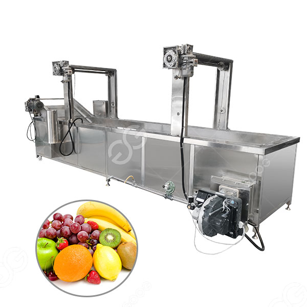 Nako-customize na Fruit Sterilization Blanching Equipment