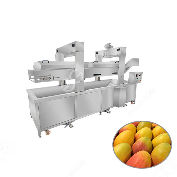 presyo ng mango-blanching-machine.jpg
