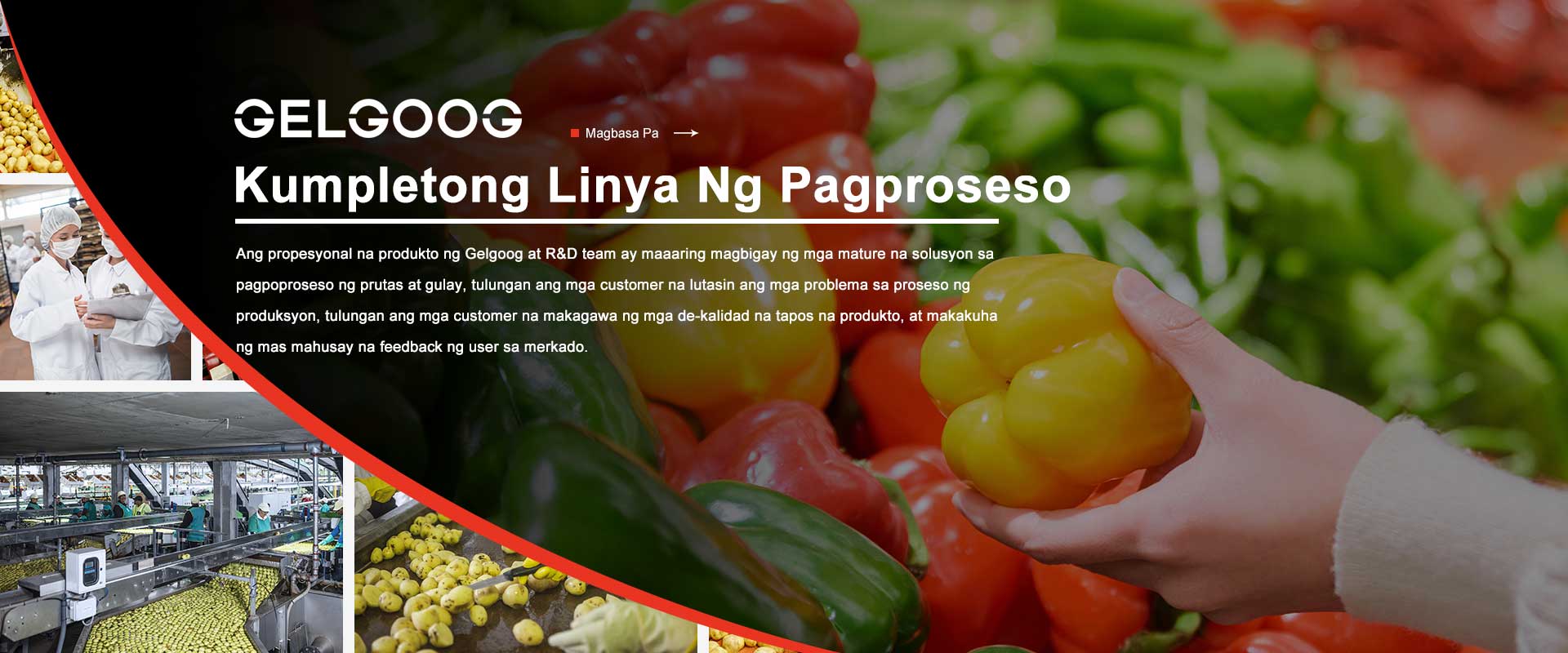 kumpletong linya ng pagproseso ng gelgoog