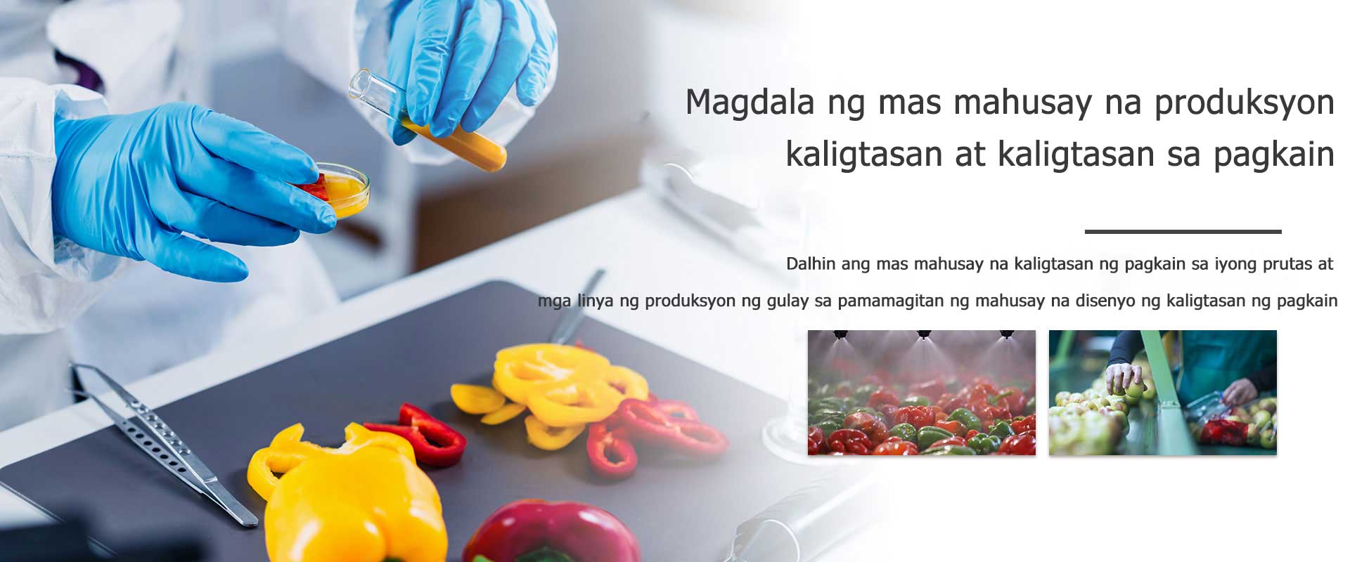 MAGDALA NG MAS MABUTING KALIGTASAN SA PRODUKSYON AT KALIGTASAN NG PAGKAIN 